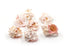 pink and white murex shells